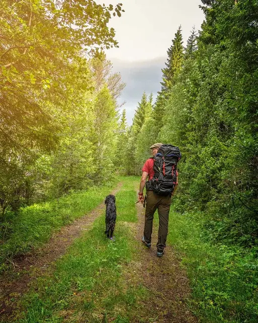 Sydvang Montana Hiking Pack 65L Vandringsryggsäck med smarta detaljer 