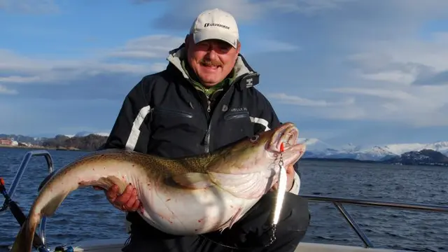 Sölvkroken Svenskepirk 75g rostfri 