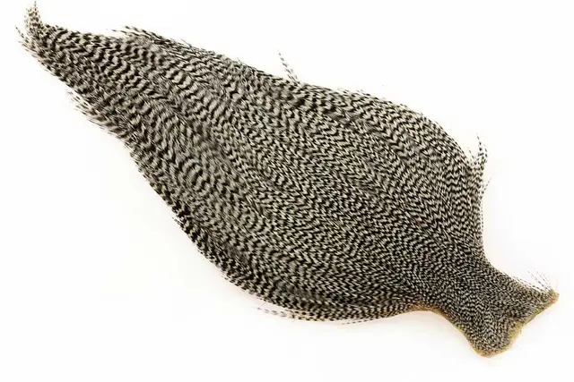 Ewing #1 Grizzly Cape Grizzly Torrflugecape 