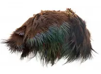 Ringneck Rump Hackle Chocolate Wapsi (Fasanrumpfjädrar) 