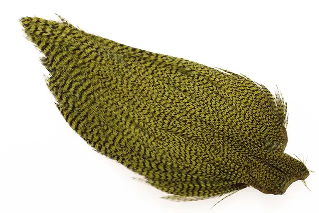 Ewing #1 Grizzly Cape Olive Torrflugecape 