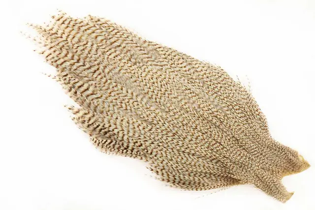 Ewing #1 Cape Bleached Grizzly 