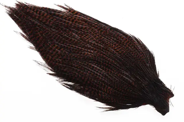 Ewing #1 Grizzly Cape Co. Brown Torrflugecape 