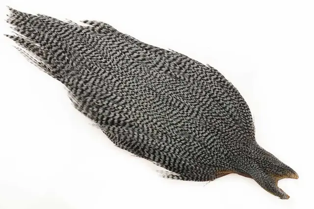 Ewing #1 Grizzly Cape Med. Blue Dun Torrflugecape 