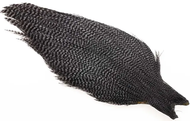 Ewing #1 Grizzly Cape Dark Blue Dun Torrflugecape 