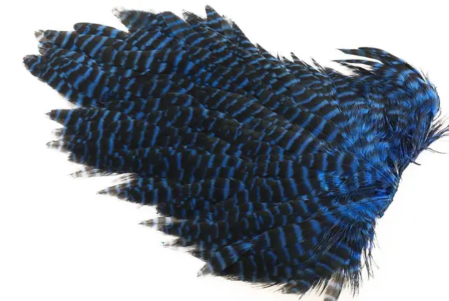 Ewing #1 Hen Saddle Grizzly Kingfisher Kvalitetsfjädrar 