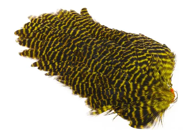 Ewing #1 Hen Saddle Grizzly Yellow Kvalitetsfjädrar 