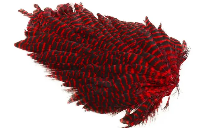 Ewing #1 Hen Saddle Grizzly Red Kvalitetsfjädrar 