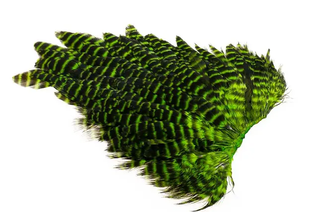 Ewing #1 Hen Saddle Grizzly Chartreuse Kvalitetsfjädrar 