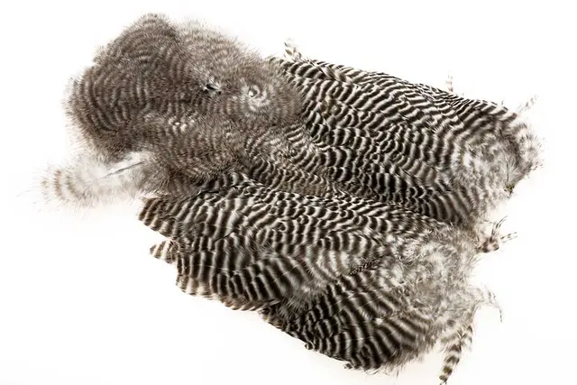 Ewing #1 Grizzly Body Marabou Patch 