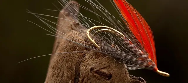 Ahrex HR420G Progressive Double #10 Gold finish - 5 st 