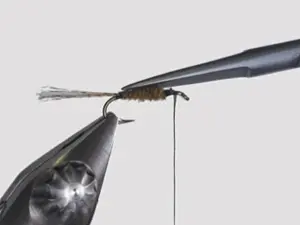 Marc Petitjean Plier Hackelklämma 