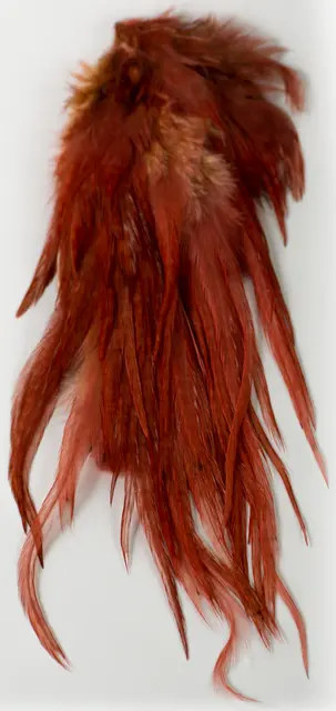 Ewing Wooly Bugger Pack Ginger Kvalitetsfjädrar 