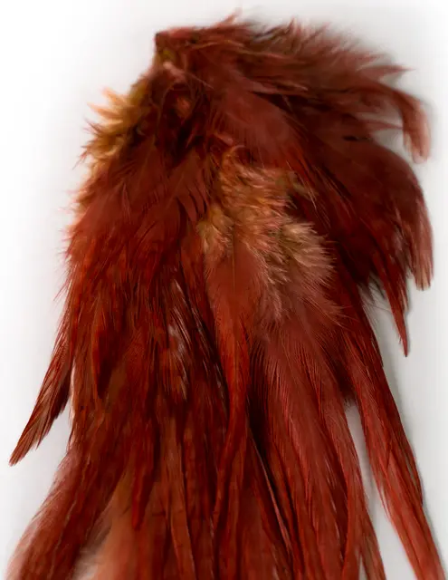 Ewing Wooly Bugger Pack Ginger Kvalitetsfjädrar 