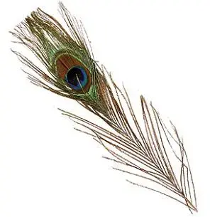 Peacock Eyes - Orange Grundmaterial 