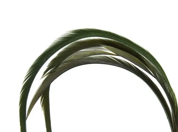 Goose Biots - Blue Wing Olive Wapsi 