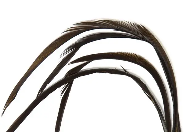 Goose Biots - Dark Brown Wapsi 