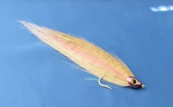 Fisk-Skalle- Coppertone str. S Fisk-Skalle 