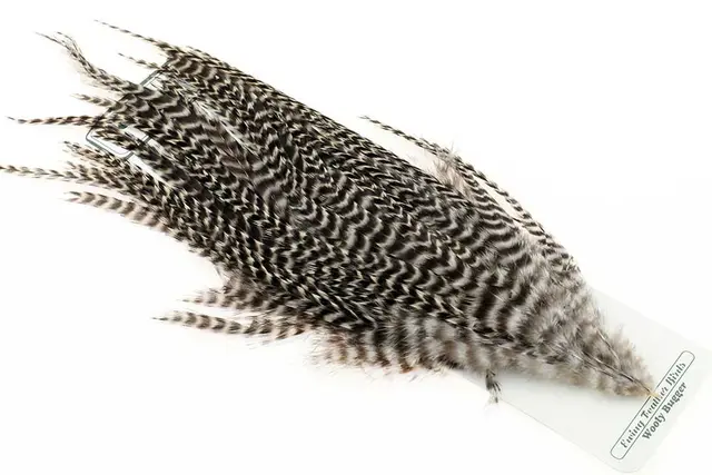 Ewing Wooly Bugger Pack Grizzly Kvalitetsfjädrar 