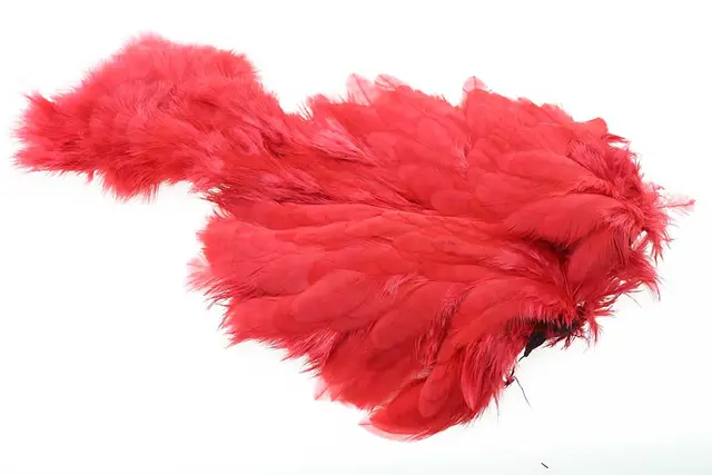 Ewing Red Body Marabou Patch Kvalitetsfjädrar 