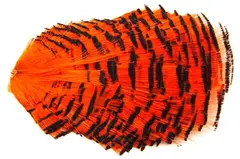 Golden Pheasant Tippet - hot orange Fasanfjädrar från Wapsi