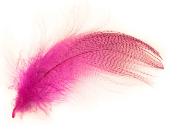 FlyCo Grey Mallard Flank Fl. Pink Gräsand 