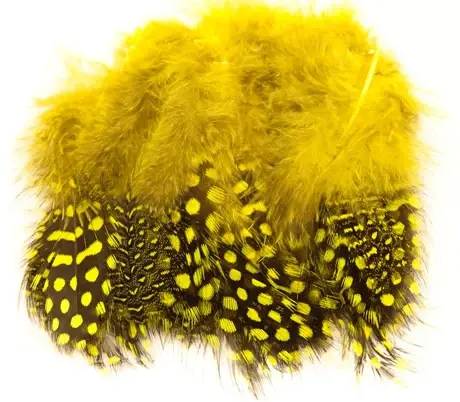 Guinea Fowl Strung - Yellow Perlehøne 