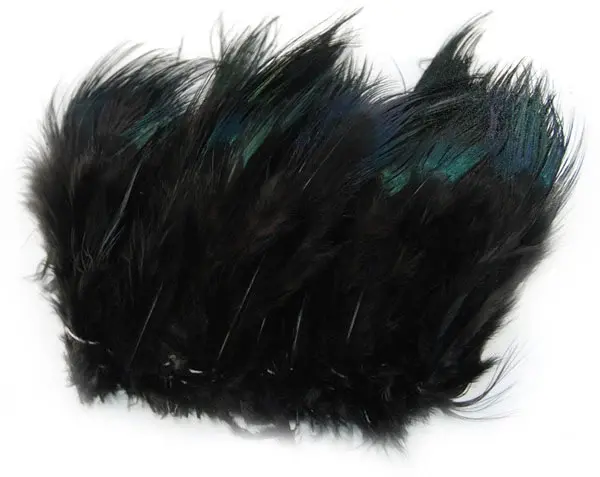 Ringneck Rump Hackle - Black Wapsi (Fasanrumpfjädrar) 