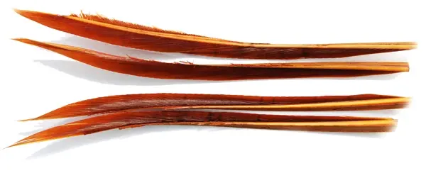 Turkey Biots - March Brown Wapsi 