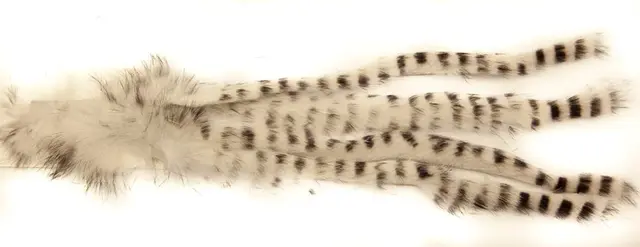 Barred Rabbit Zonker - White The Fly Co 