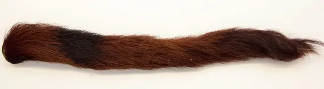 The Fly Co Calftail (Kiptail) Dark Brown Calftail 