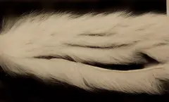 Rabbit Strips S-Cut 3mm - White The Fly Co