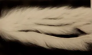 Rabbit Strips S-Cut 3mm - White The Fly Co