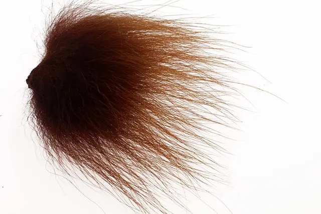 Polar Bear - Dark Brown The Fly Co. 