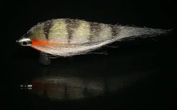 Fisk-Skalle- Coppertone str. S Fisk-Skalle 