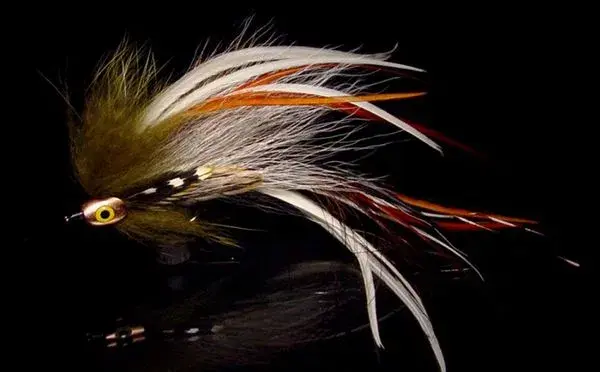 Fisk-Skalle- Coppertone str. S Fisk-Skalle 