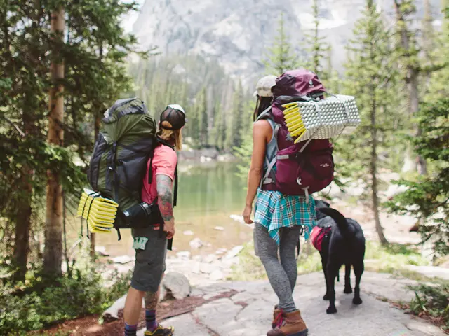 Thermarest Z Lite SOL Regular Lätt liggunderlag i Silver/Lemon 