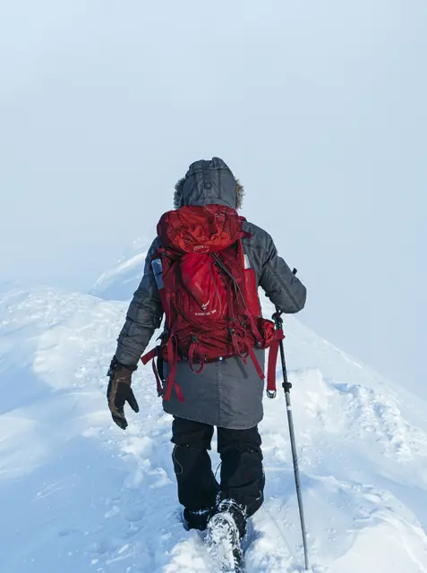 Thermos Light & Compact Termos Blå 0,35L Midnight Blue termos i rustfritt stål 