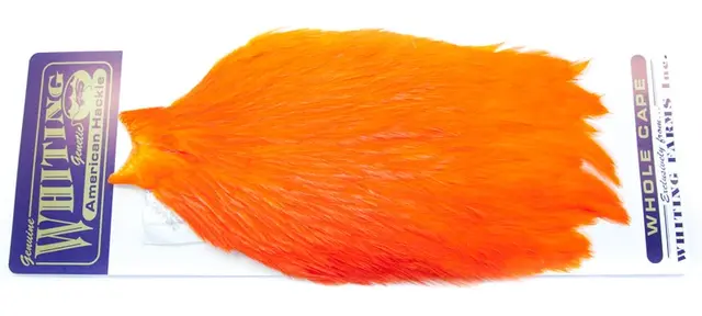 Whiting American Rooster Cape Orange 