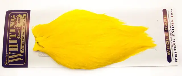 Whiting American Rooster Cape Yellow 