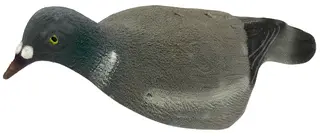 UKSW lockf&#229;gel duva skal med Flock Duvskal med Flock