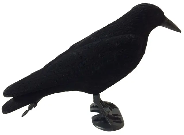 UKSW lockfågel svart kråka med Flock Hel kråka lockfågel med Flock-belägg 