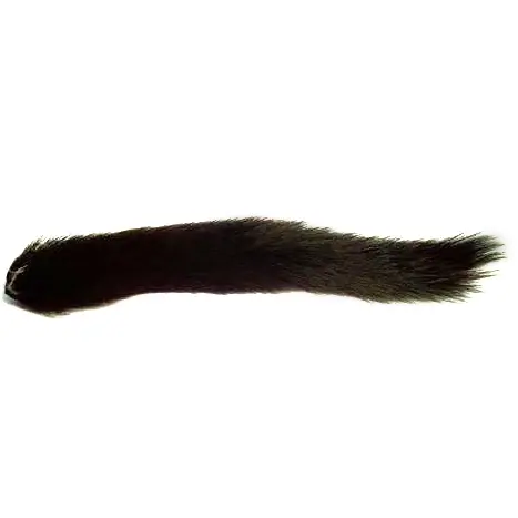 Squirrel Tail - Black Veniard 
