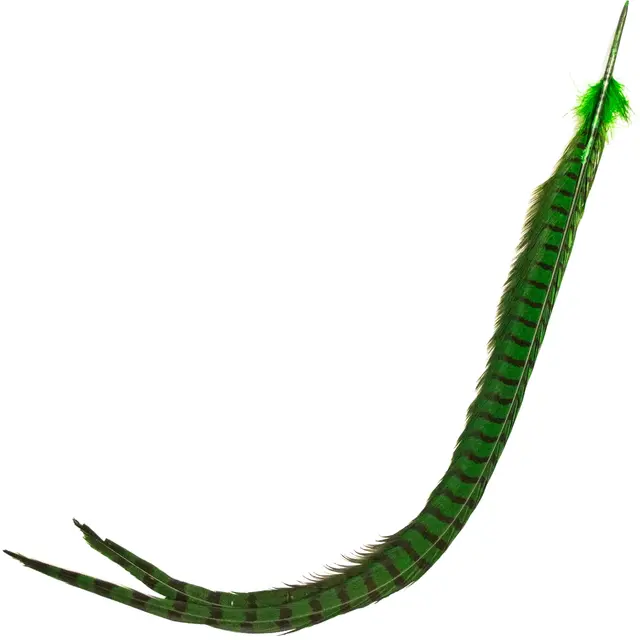 Cock Pheasant Centre Tail Green Highland Fasan mittstjärtfjädrar från Veniard 