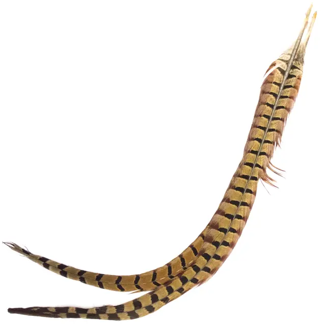 Cock Pheasant Centre Tail Natural Fasan mittstjärtfjädrar från Veniard 