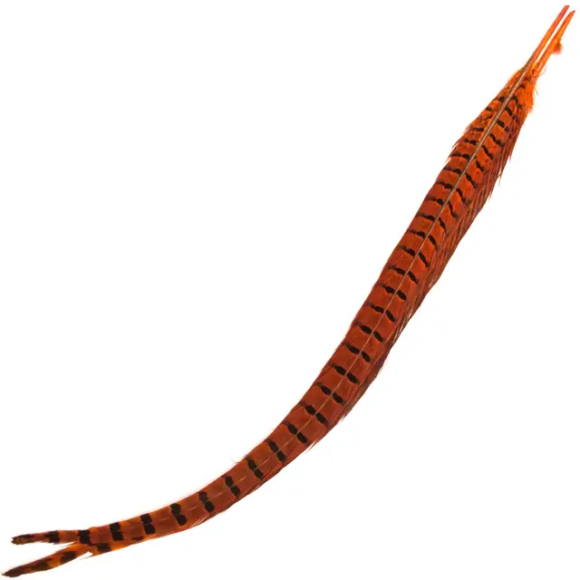 Cock Pheasant Centre Tail Orange Fasan mittstjärtfjädrar från Veniard 