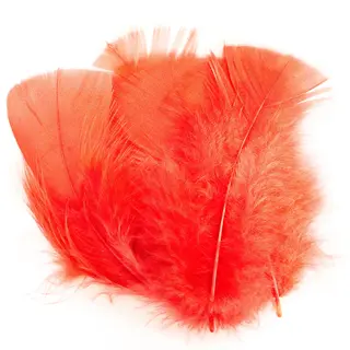 Ibis Substitute Ibis ers&#228;ttare fr&#229;n Veniard