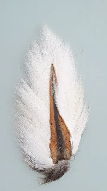 Veniard Bucktail Large Natural White Kvalitet hjort svans med långa fibrer 