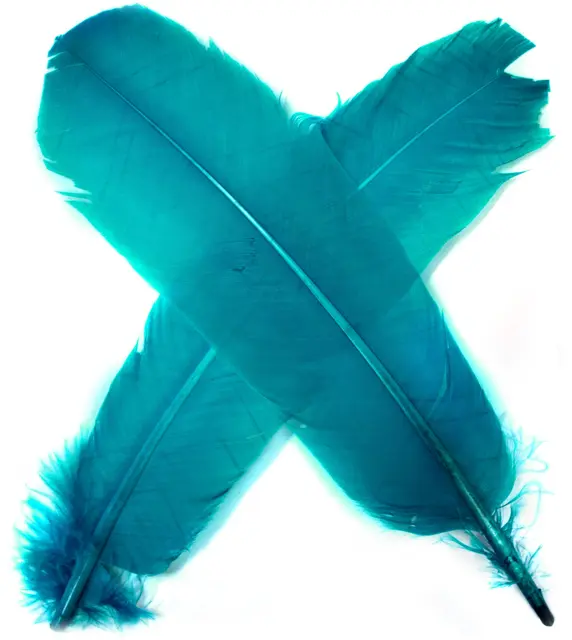 Turkey broad Wing Quill Dyed -  Blue Grymt vingmaterial till laxflugor 