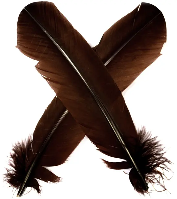 Turkey broad Wing Quill Dyed -  Brown Grymt vingmaterial till laxflugor 